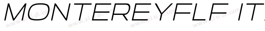 MontereyFLF Italic字体转换